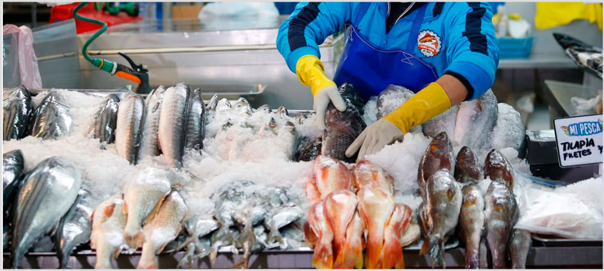 ¿Cuál es el Mejor Pescado para Ceviche? Descúbrelo Aquí